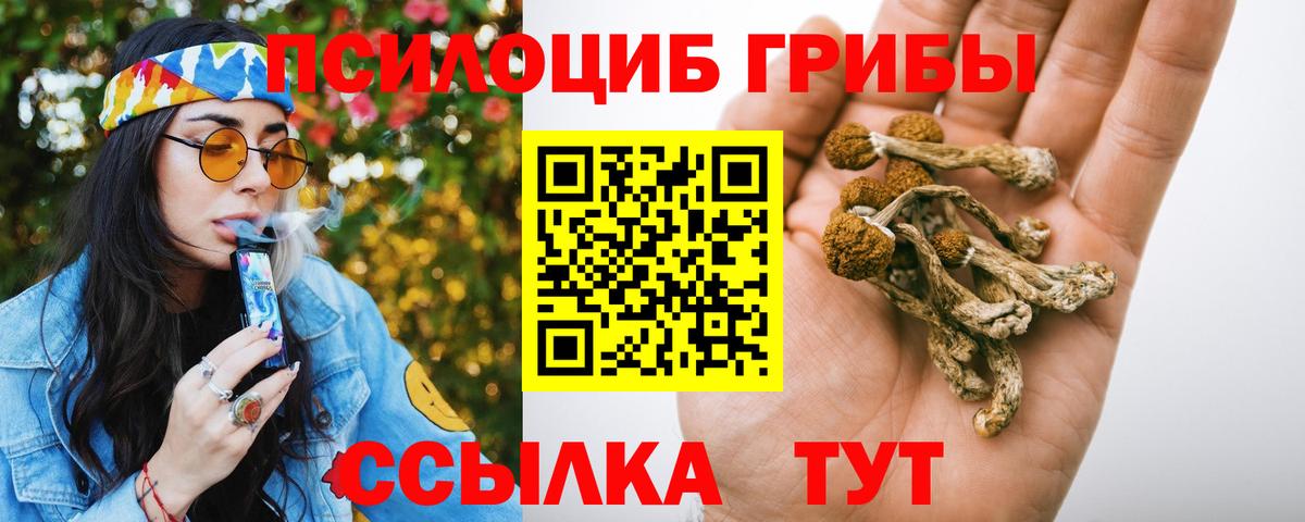 Галлюциногенные грибы прущие грибы  Галлюциногенные грибы Psilocybe  Вход с VPN  Озёрск 